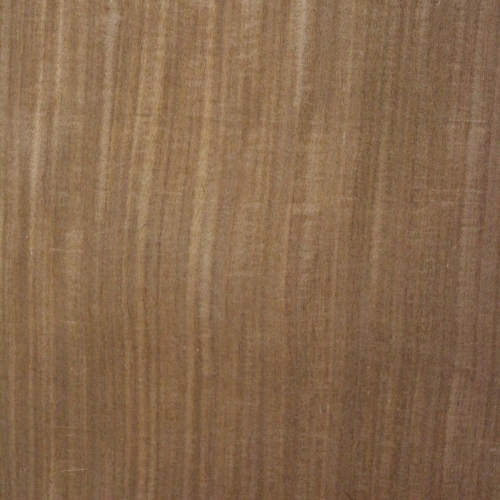 Afrormosia Furnier
